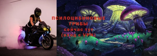 соль ск Нефтегорск
