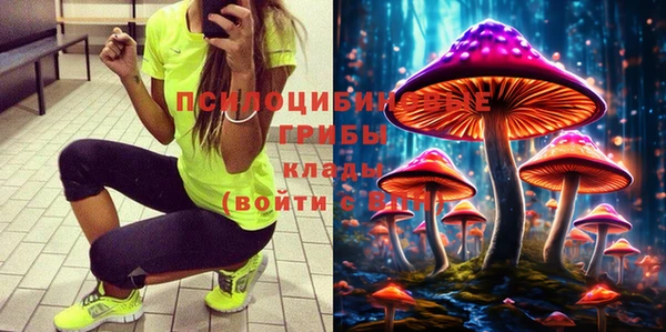 МДМА Новодвинск