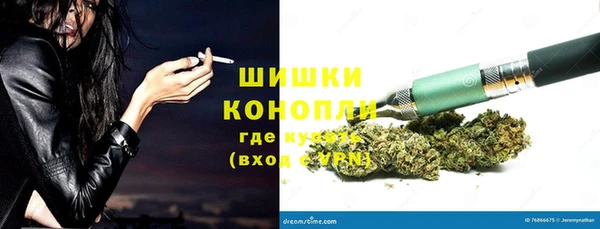 прущий лед Новозыбков
