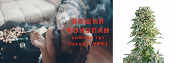 прущий лед Новозыбков