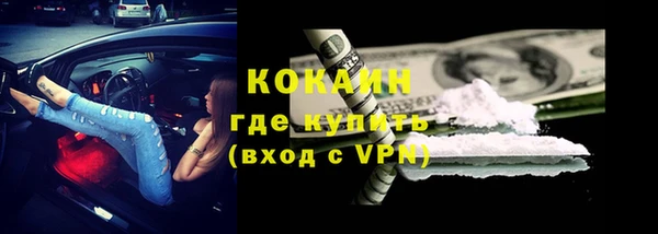 apvp Няндома