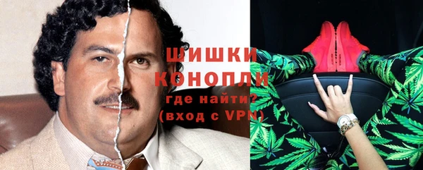 прущий лед Новозыбков