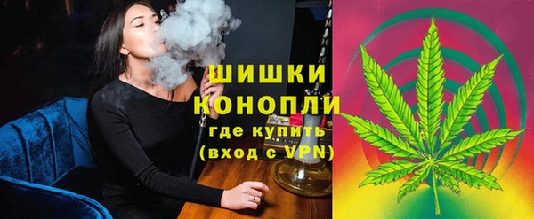 мяу мяу мука Беслан