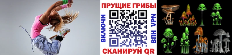купить наркотики цена  кракен зеркало  Галлюциногенные грибы Cubensis  Кириллов 