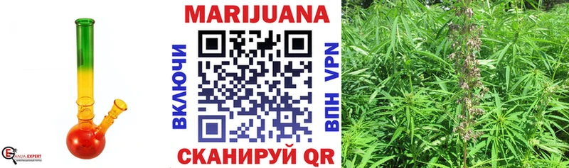 закладки Кириллов Канабис план